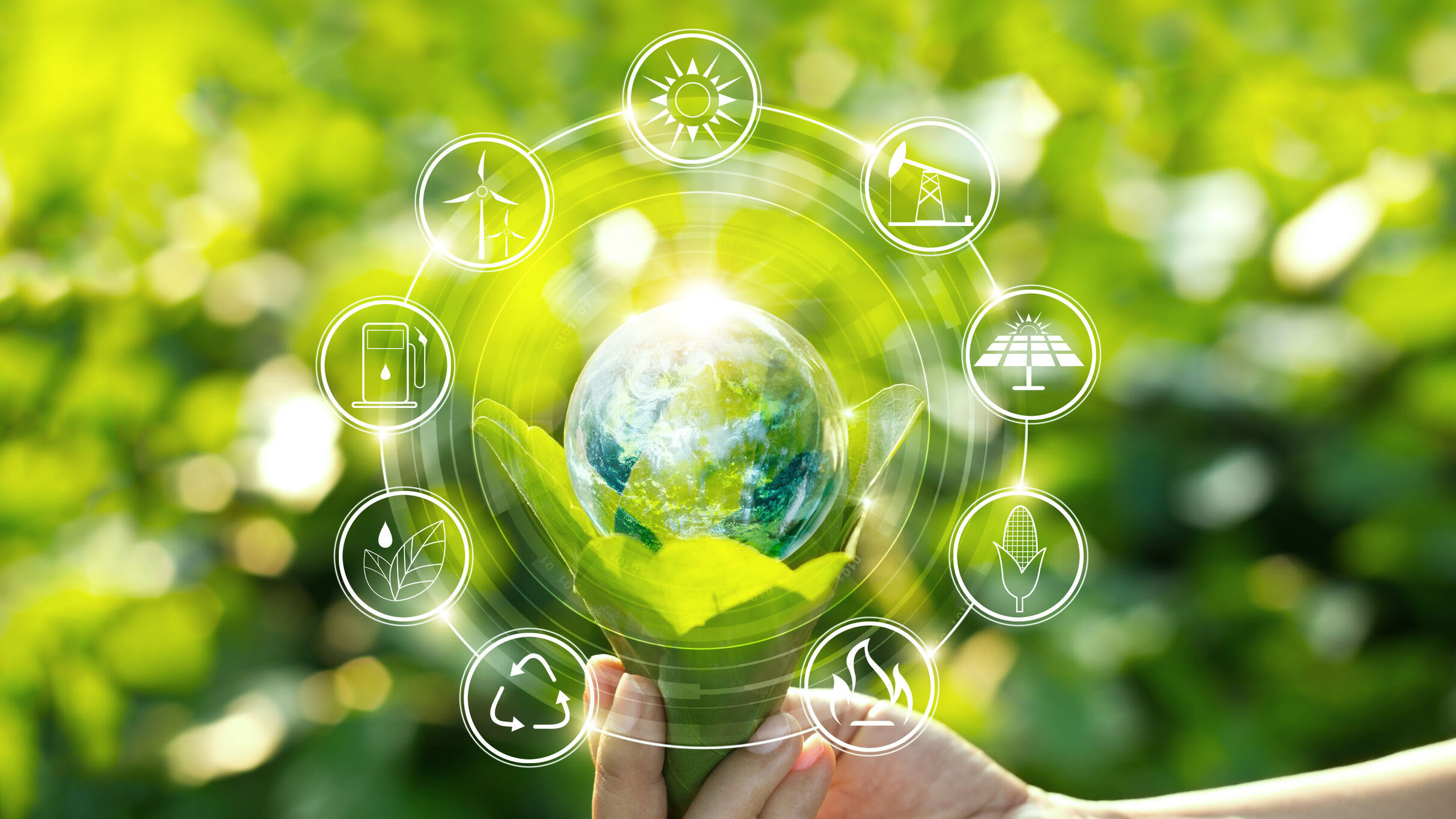 Waste Reduction and Recycling Tips