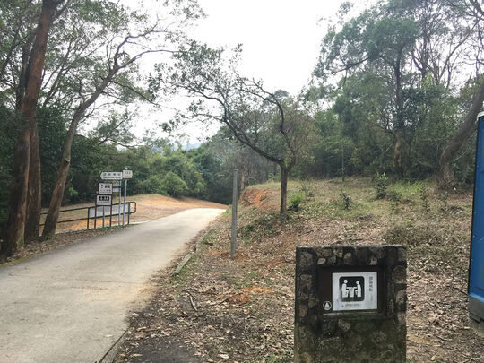 Tai Lam Forest Track (Ching Fa Tong Section)