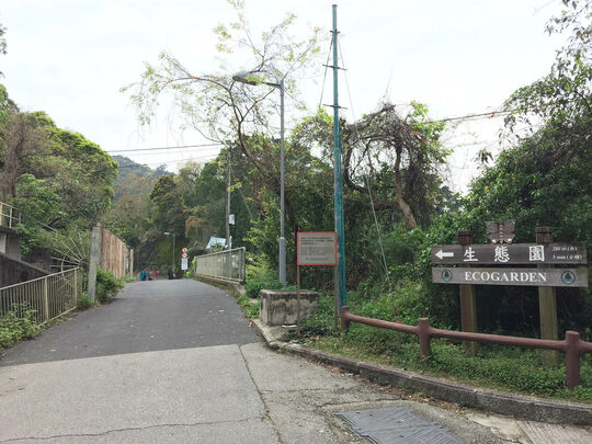 Tai Lam Picnic Site (Ecology Garden)
