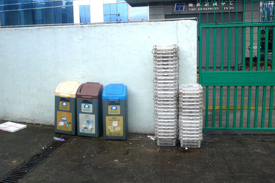 Cheung Sha Wan Wholesale Vegetable Market