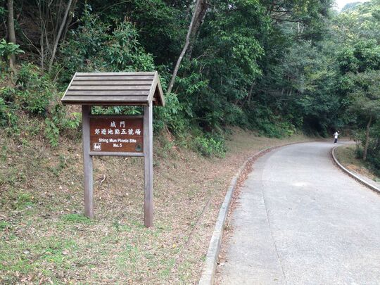 Shing Mun Reservoir, Shing Mun Picnic Site 5